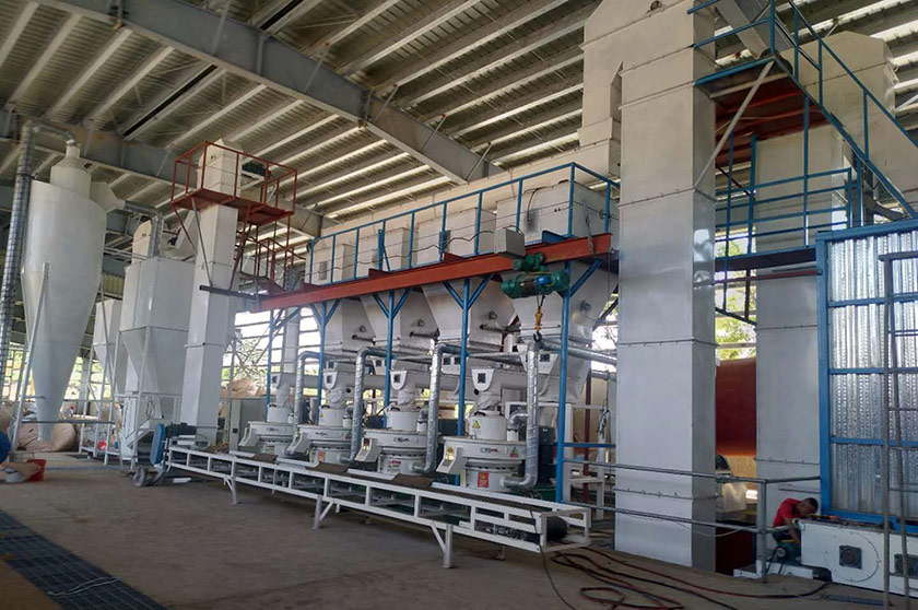 8 toneladas de línea de producción de pellets de seda de palma por hora en Filipinas