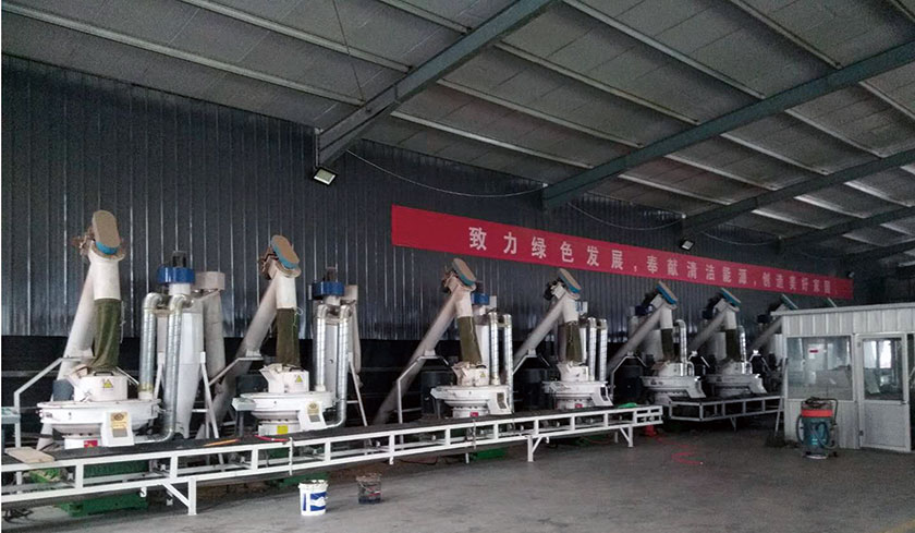 Décima línea de producción de pellets de madera de Jiangsu
