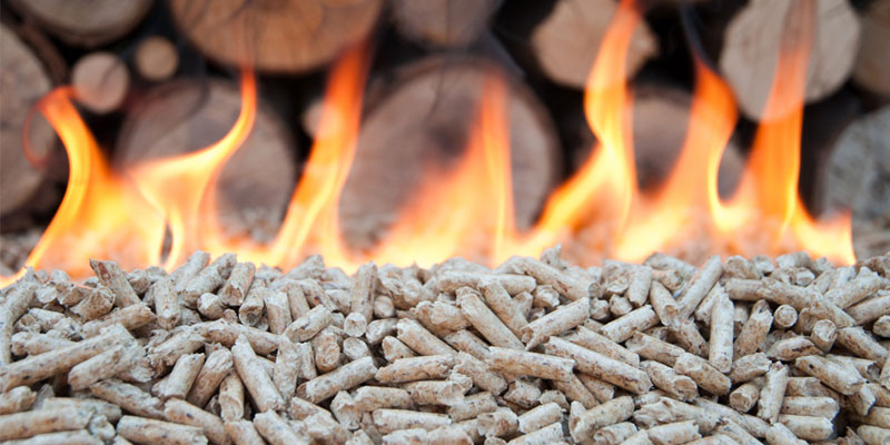 Responder dudas: Las ventas de pellets de biomasa aumentan cada año, ¿qué tipo de materias primas son adecuada