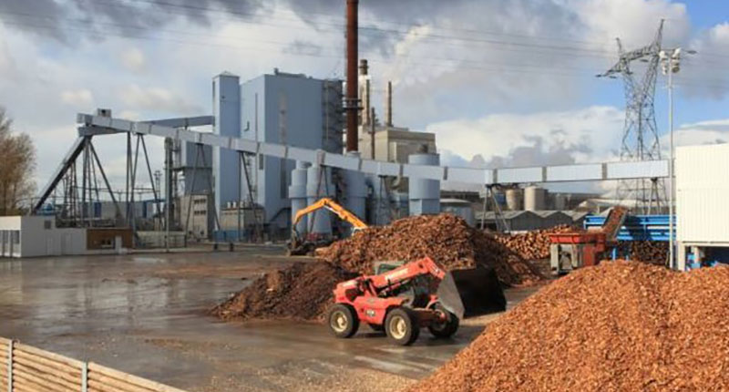 Japan and South Korea demand growth will stimulate Thailand biomass pellet exports