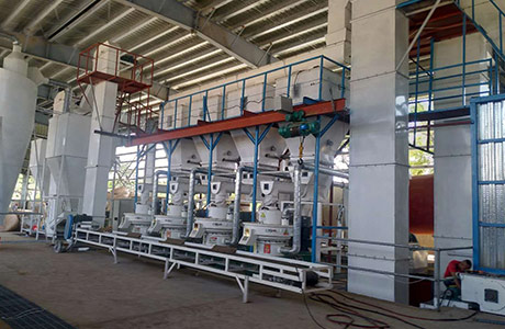 8 toneladas de línea de producción de pellets de seda de palma por hora en Filip
