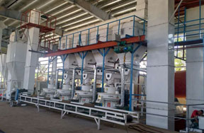 8t/h wood pellet production line in Philippines