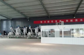 10t/h wood pellet production line in China